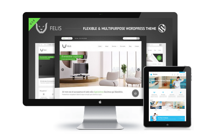 Felis中文版 公司建站首选WordPress企业主题-云模板