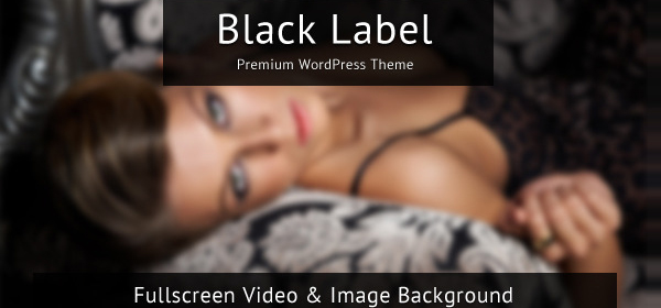 Black Label 全屏视频图片网站WordPress主题-云模板