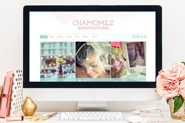 Chamomile 花艺 WordPress主题 [ v1.0 ]-云模板