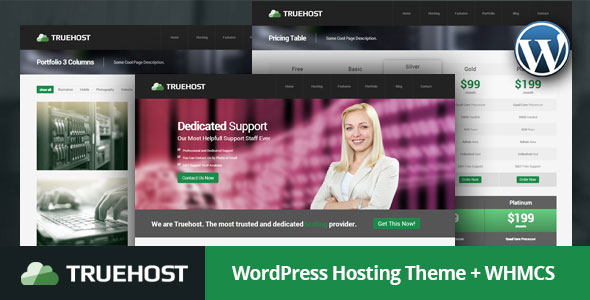 Truehost 域名主机 WordPress主题-云模板