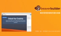 Beaver Builder Pro | 海狸页面生成器 前端可视化编辑器 中文汉化版