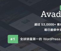 Avada | 企业 商店 响应式 多用途 WordPress 主题 中文汉化版 多语言 多功能