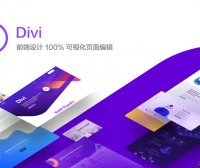 Divi | 迪维 中文版多功能 WordPress 主题 多用途可视化开发
