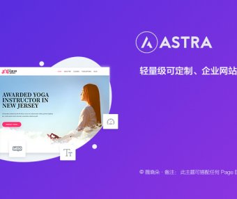 Astra PRO | 企业 博客 商店 可定制轻量级 WordPress 主题 已汉化