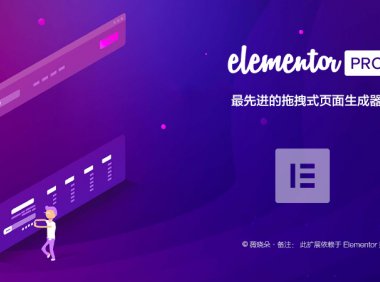 Elementor Pro | 页面生成器 前端可视化编辑器 中文汉化版
