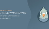 WP Mail SMTP Pro v3.2.0破解版(已汉化）